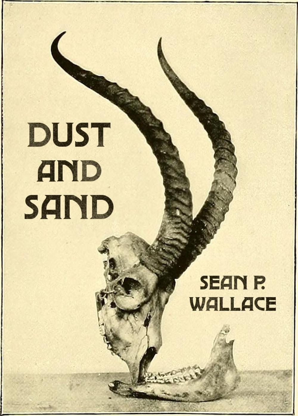 Big bigCover of Dust and Sand