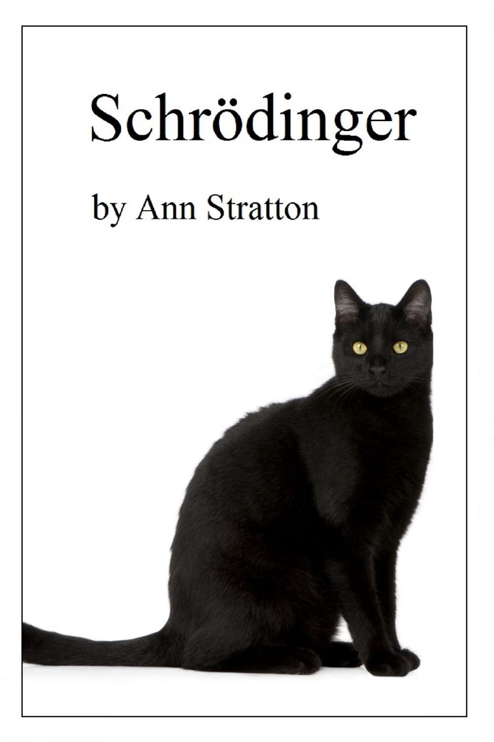 Big bigCover of Schrödinger