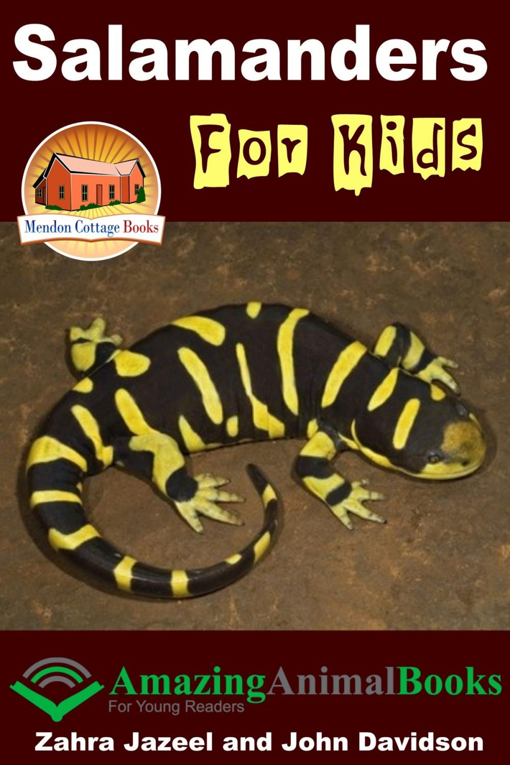 Big bigCover of Salamanders For Kids