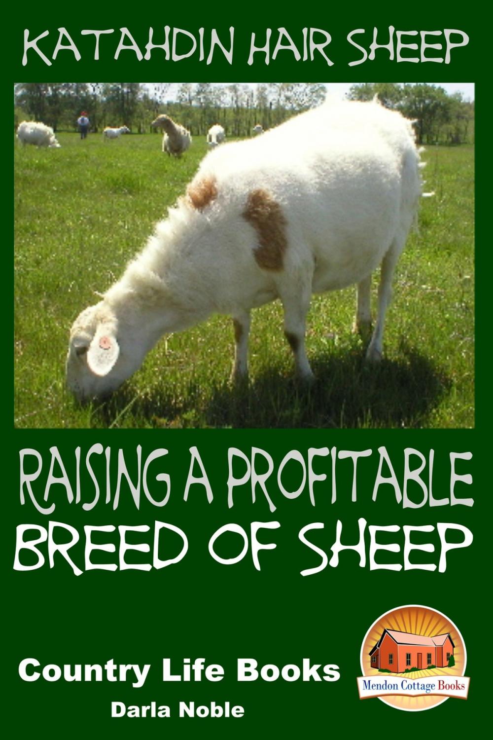 Big bigCover of Katahdin Hair Sheep: Raising a Profitable Breed of Sheep
