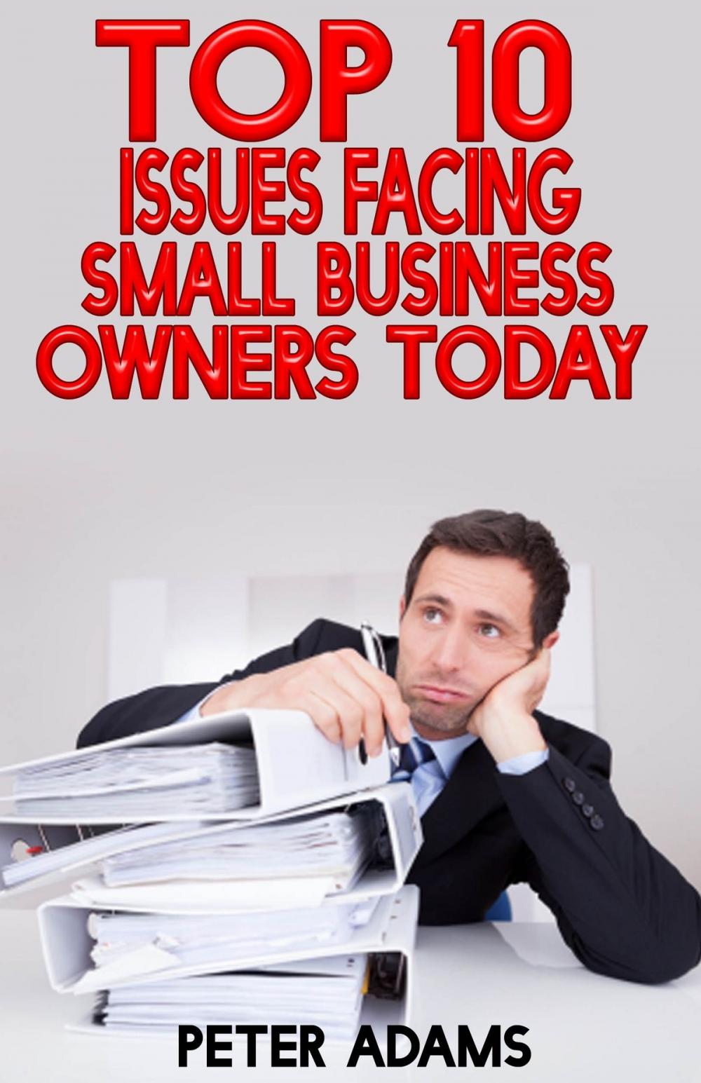 Big bigCover of Top 10 Issues Facing Small Businesses Today