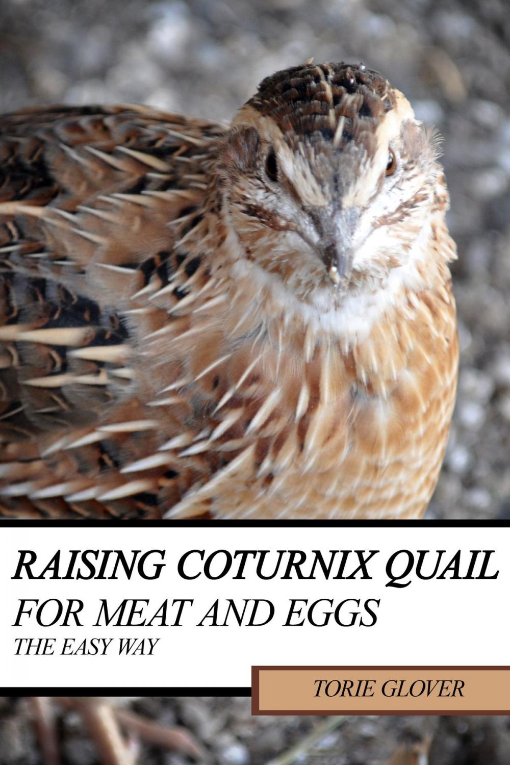 Big bigCover of Raising Coturnix Quail for Meat and Eggs: the easy way