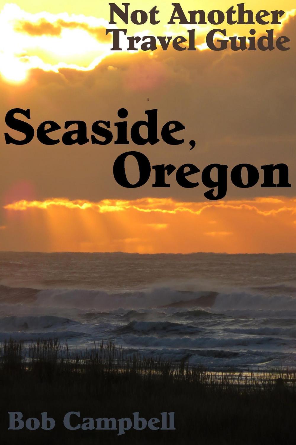 Big bigCover of Seaside, Oregon: Not Another Travel Guide