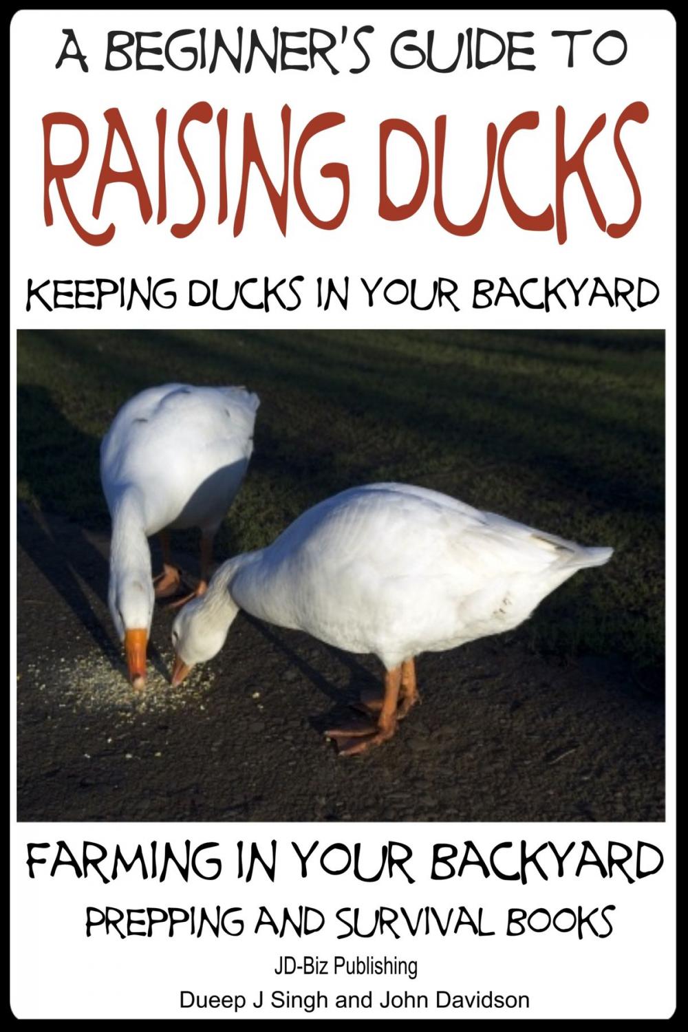 Big bigCover of A Beginner’s Guide to Keeping Ducks: Keeping Ducks in Your Backyard