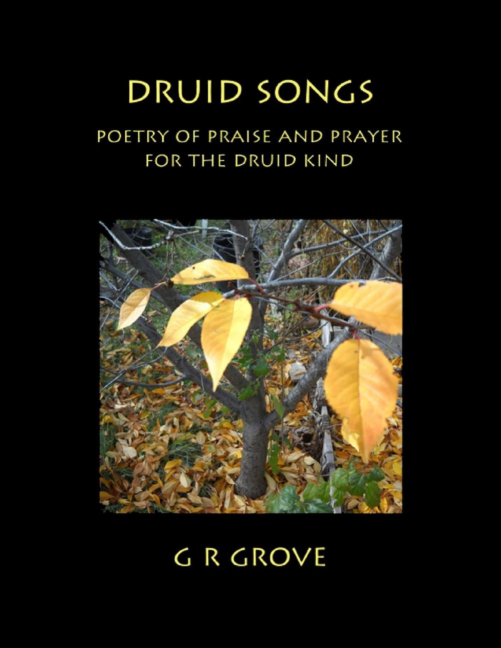 Big bigCover of Druid Songs: Poetry of Prayer and Praise for the Druid Kind