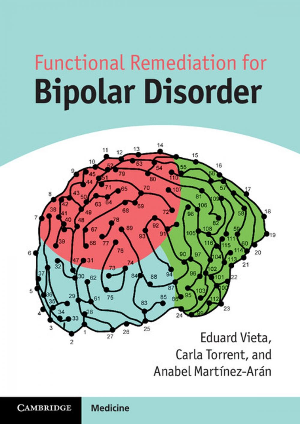 Big bigCover of Functional Remediation for Bipolar Disorder