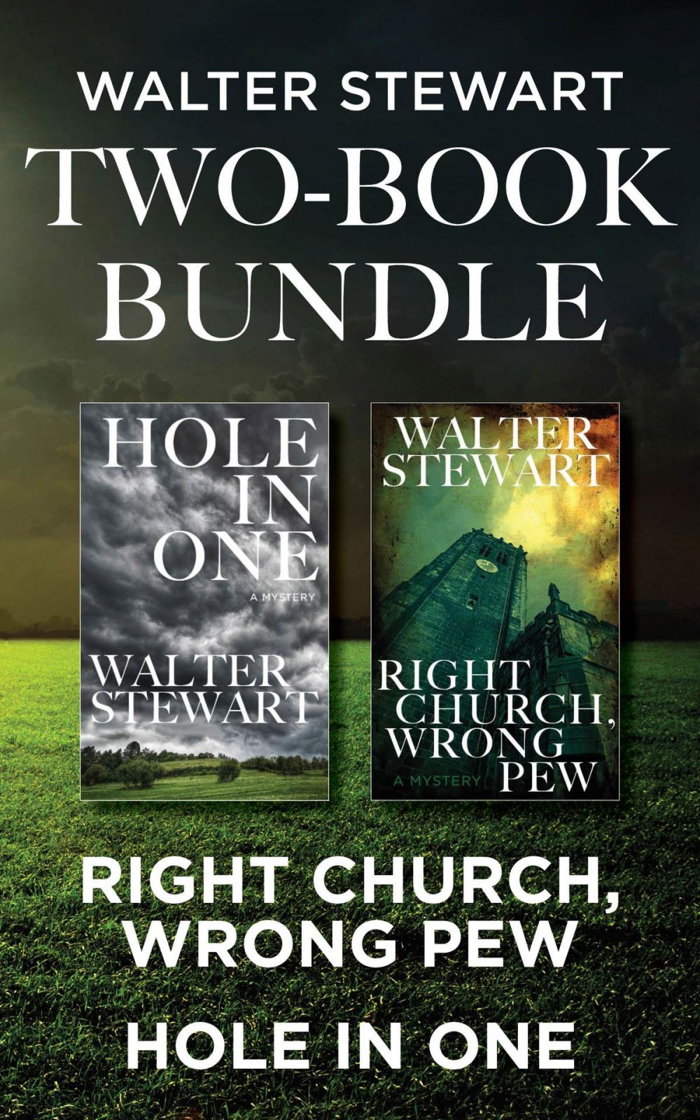 Big bigCover of Walter Stewart Two-Book Bundle