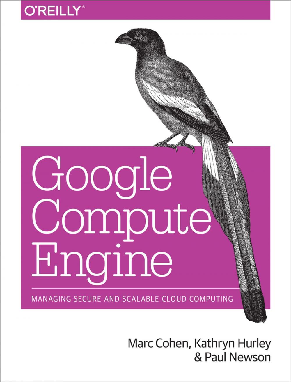 Big bigCover of Google Compute Engine