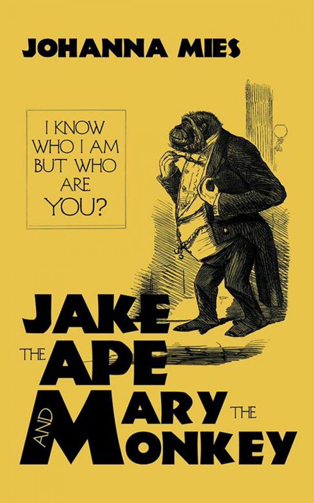 Big bigCover of Jake the Ape and Mary the Monkey