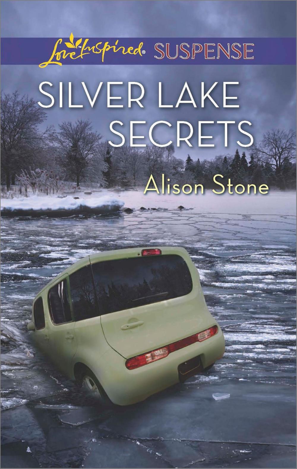 Big bigCover of Silver Lake Secrets