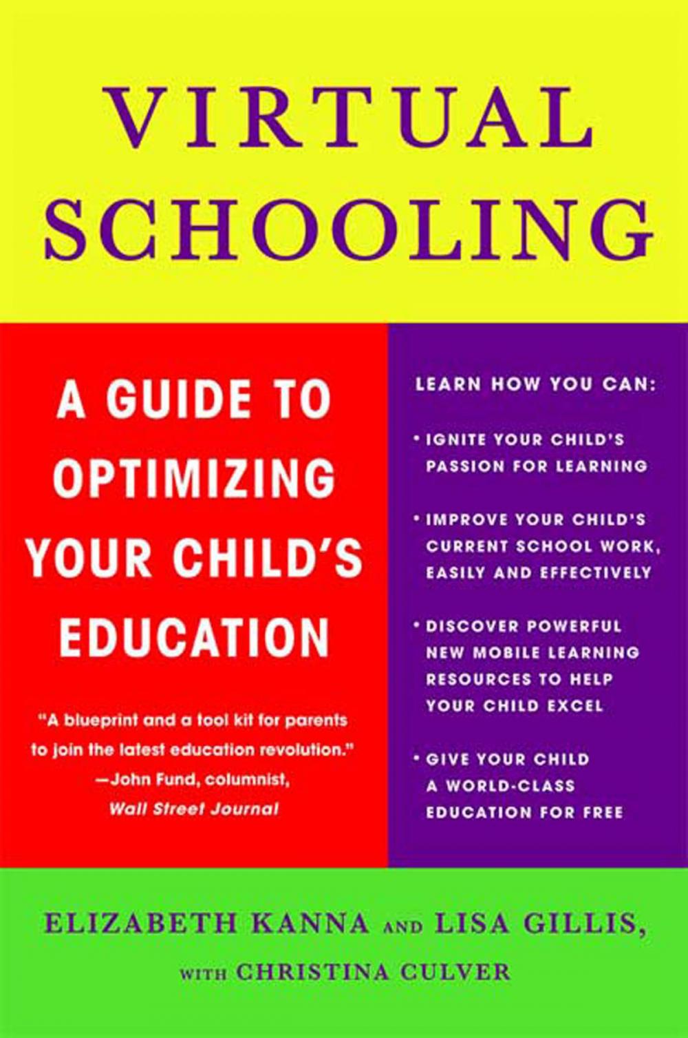 Big bigCover of Virtual Schooling