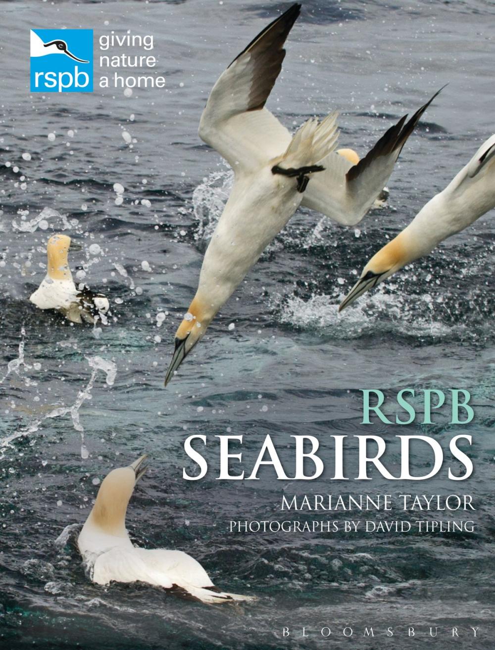 Big bigCover of RSPB Seabirds