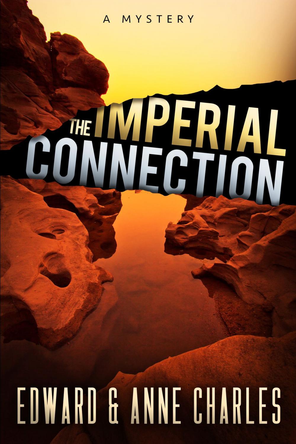 Big bigCover of The Imperial Connection