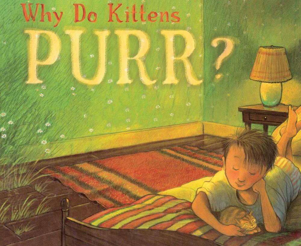 Big bigCover of Why Do Kittens Purr?