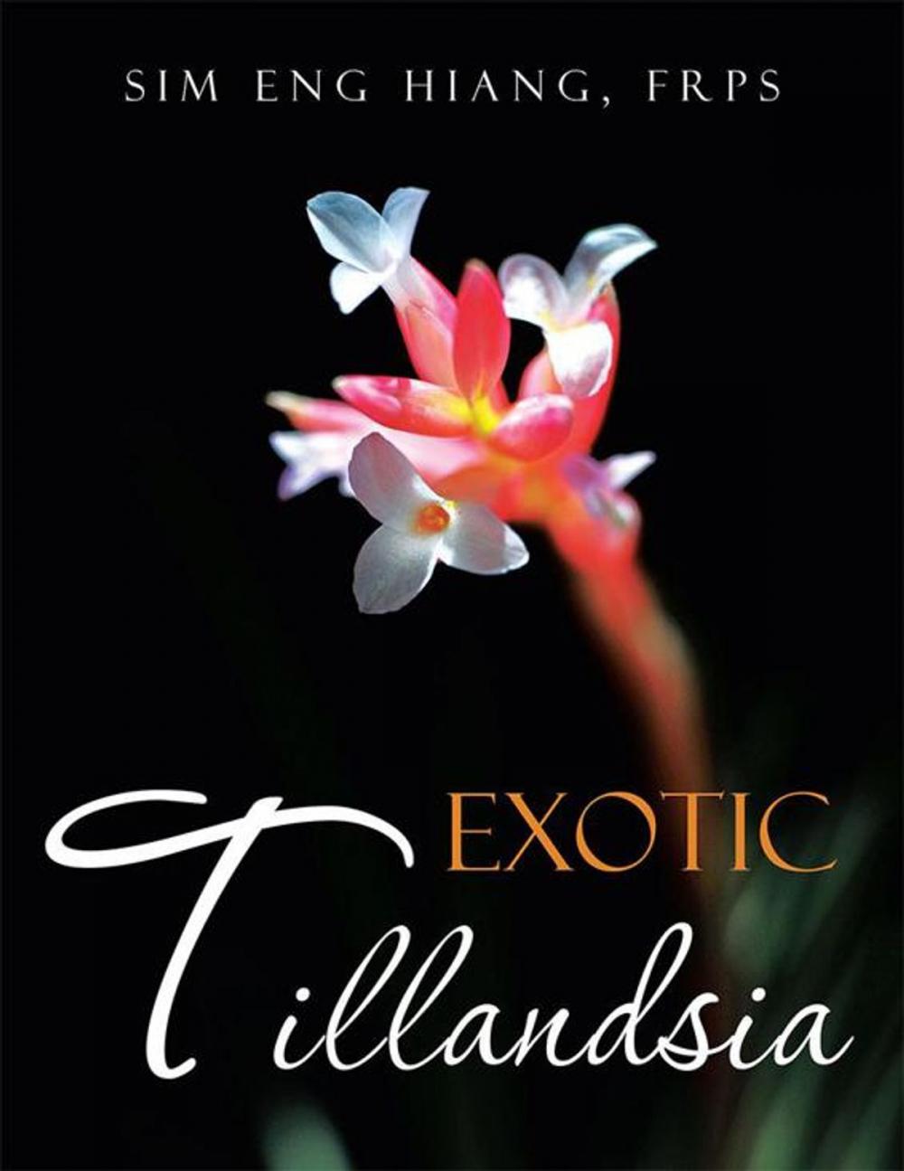 Big bigCover of Exotic Tillandsia