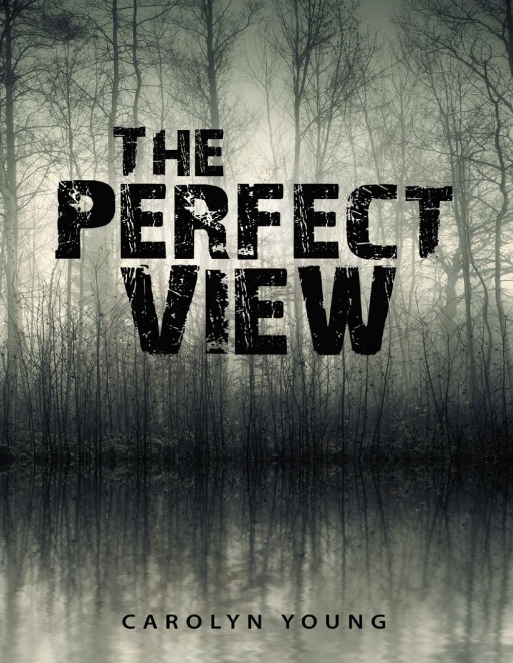 Big bigCover of The Perfect View