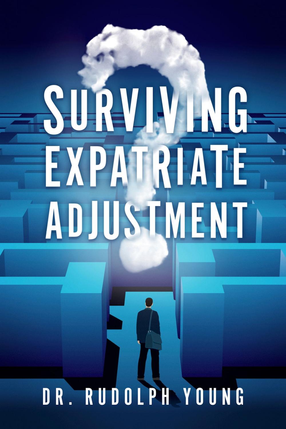 Big bigCover of Surviving Expatriate Adjustment