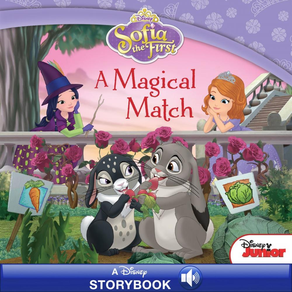 Big bigCover of Sofia the First: A Magical Match