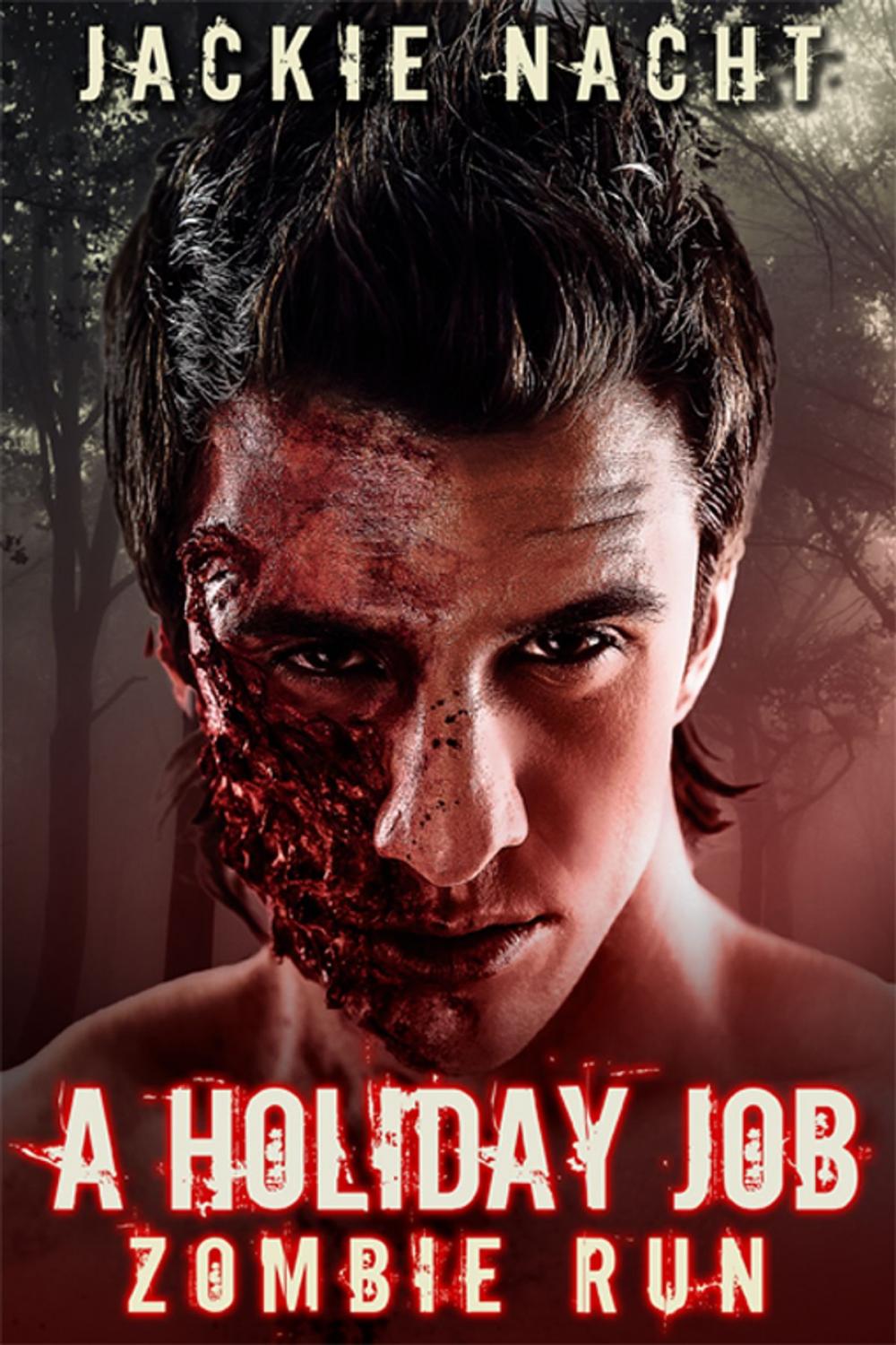 Big bigCover of A Holiday Job Zombie Run