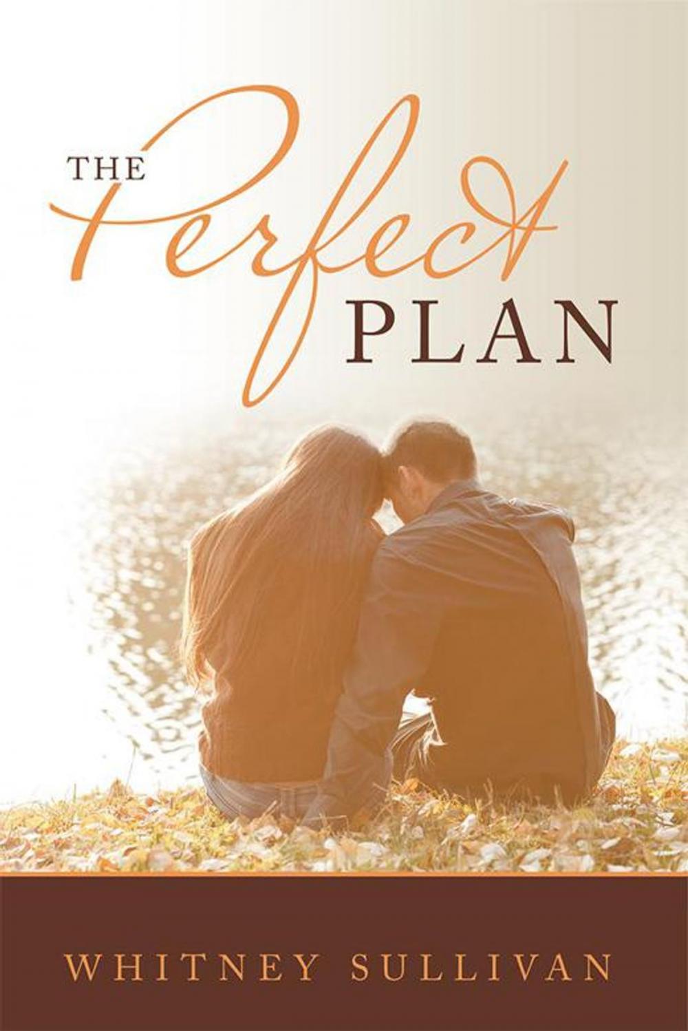 Big bigCover of The Perfect Plan