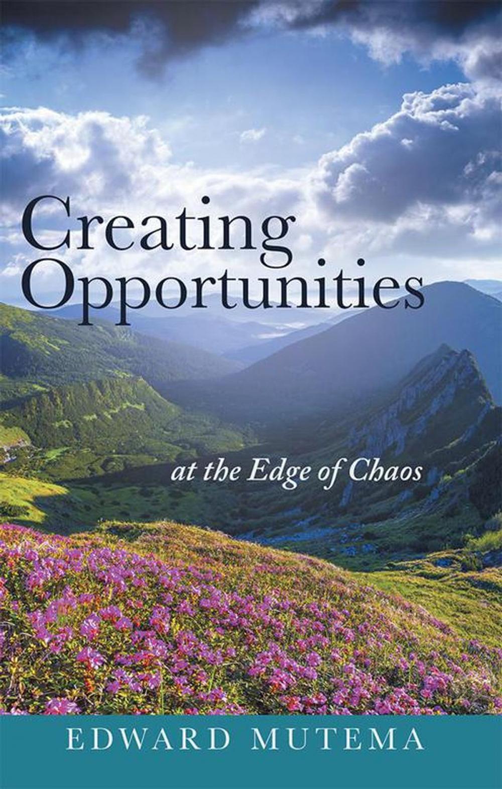 Big bigCover of Creating Opportunities at the Edge of Chaos