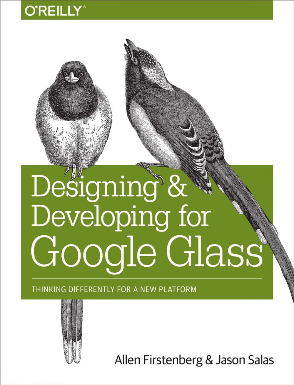 Big bigCover of Designing and Developing for Google Glass