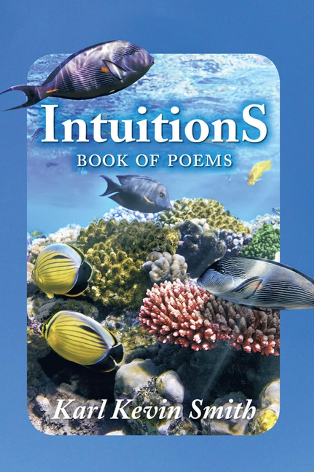 Big bigCover of Intuitions