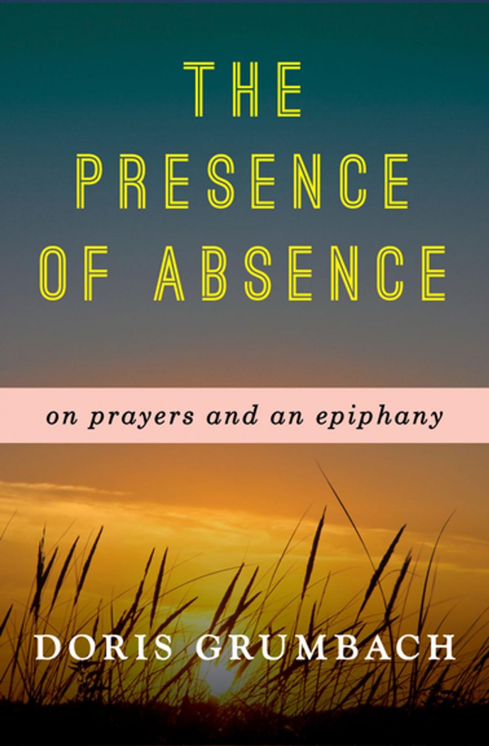 Big bigCover of The Presence of Absence