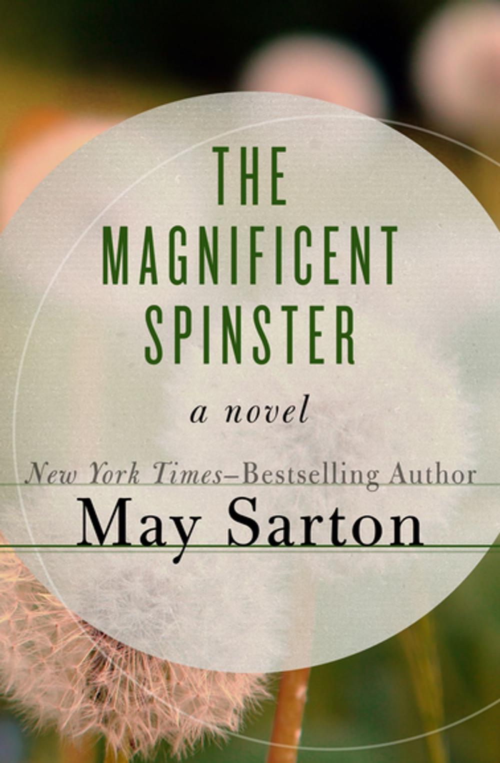 Big bigCover of The Magnificent Spinster