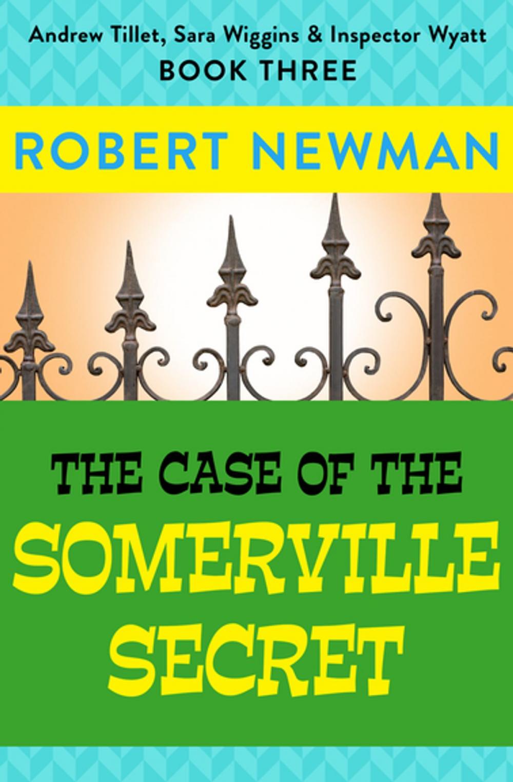 Big bigCover of The Case of the Somerville Secret