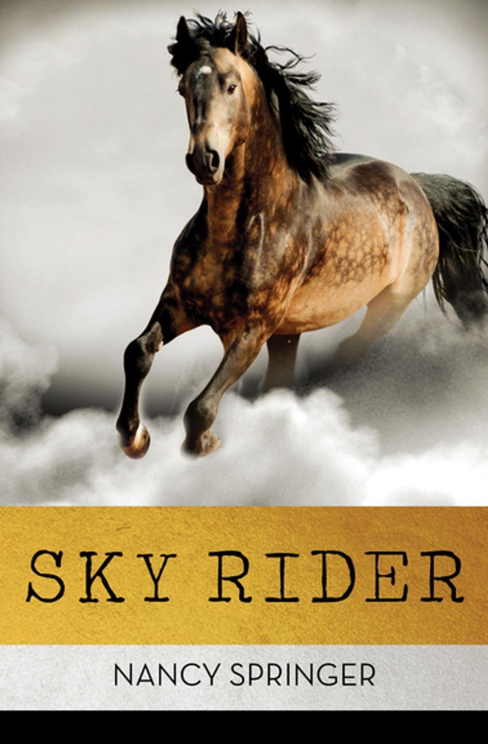 Big bigCover of Sky Rider