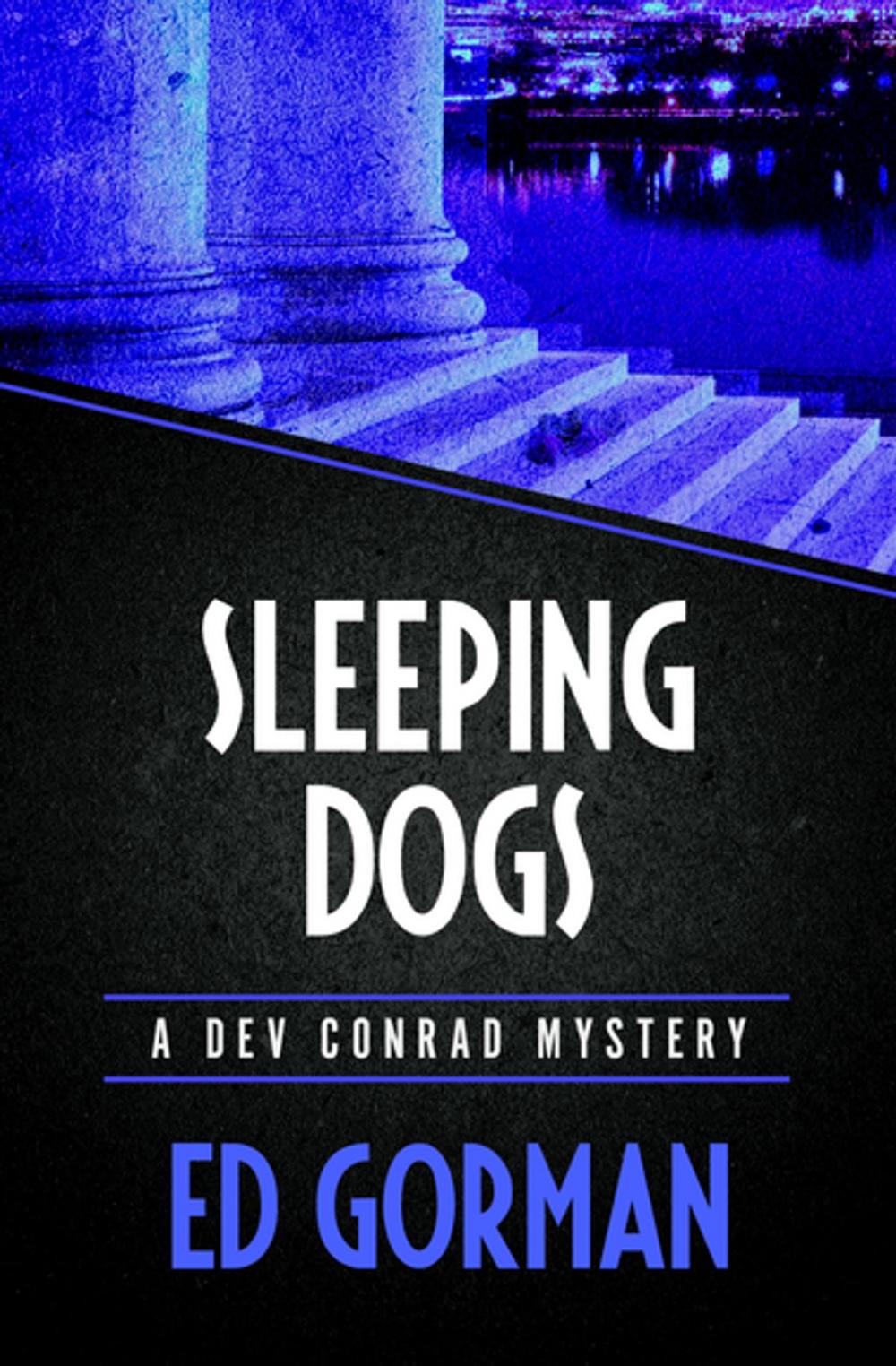 Big bigCover of Sleeping Dogs