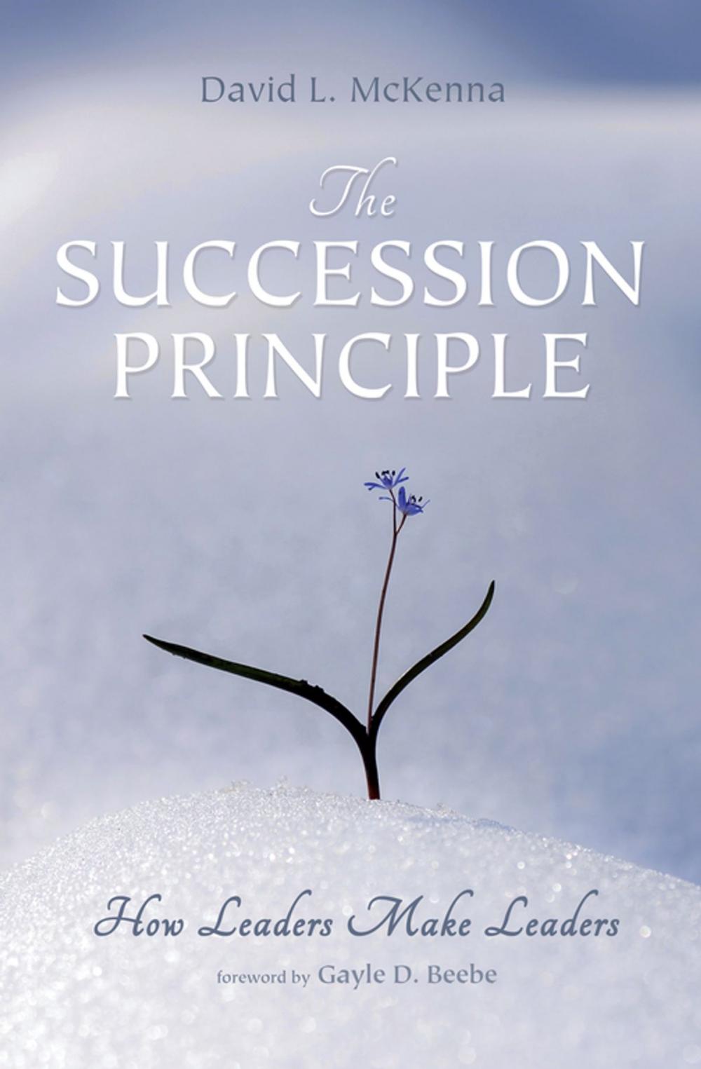 Big bigCover of The Succession Principle