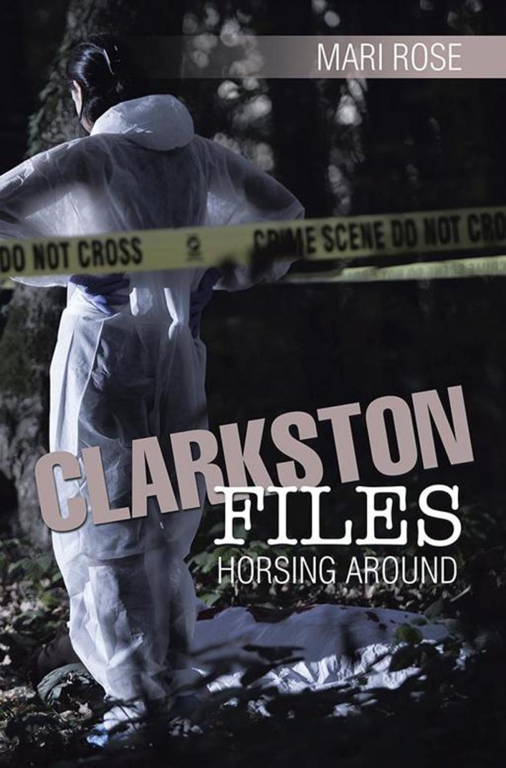 Big bigCover of Clarkston Files