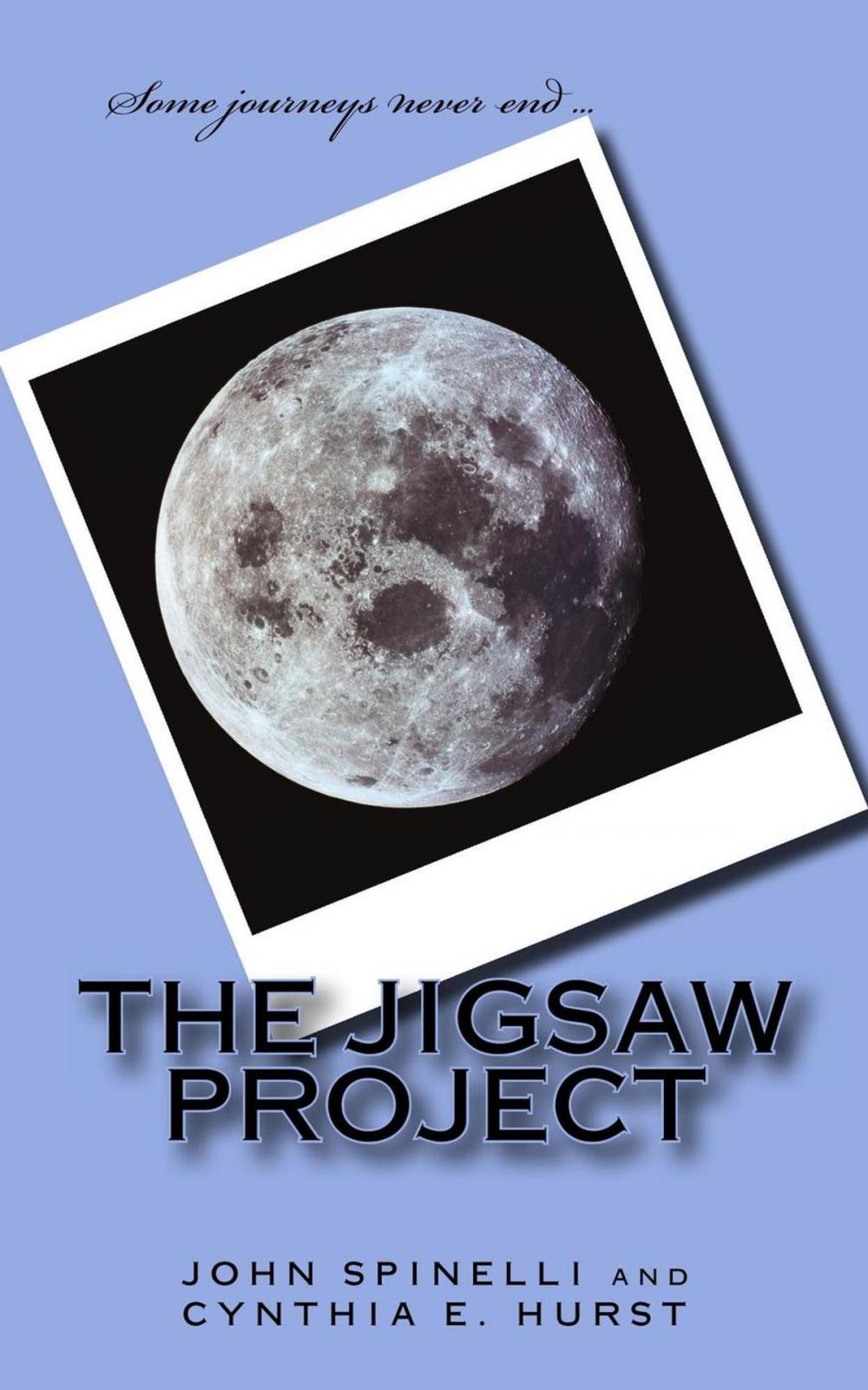 Big bigCover of The Jigsaw Project