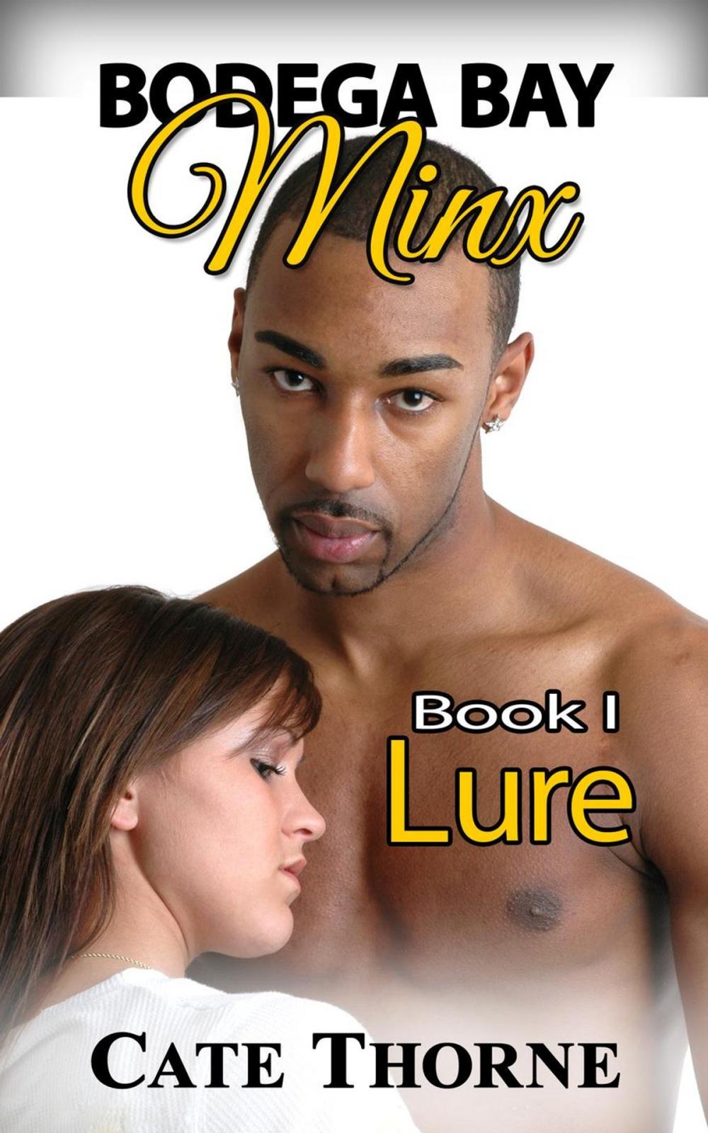 Big bigCover of Bodega Bay Minx: Book I: LURE