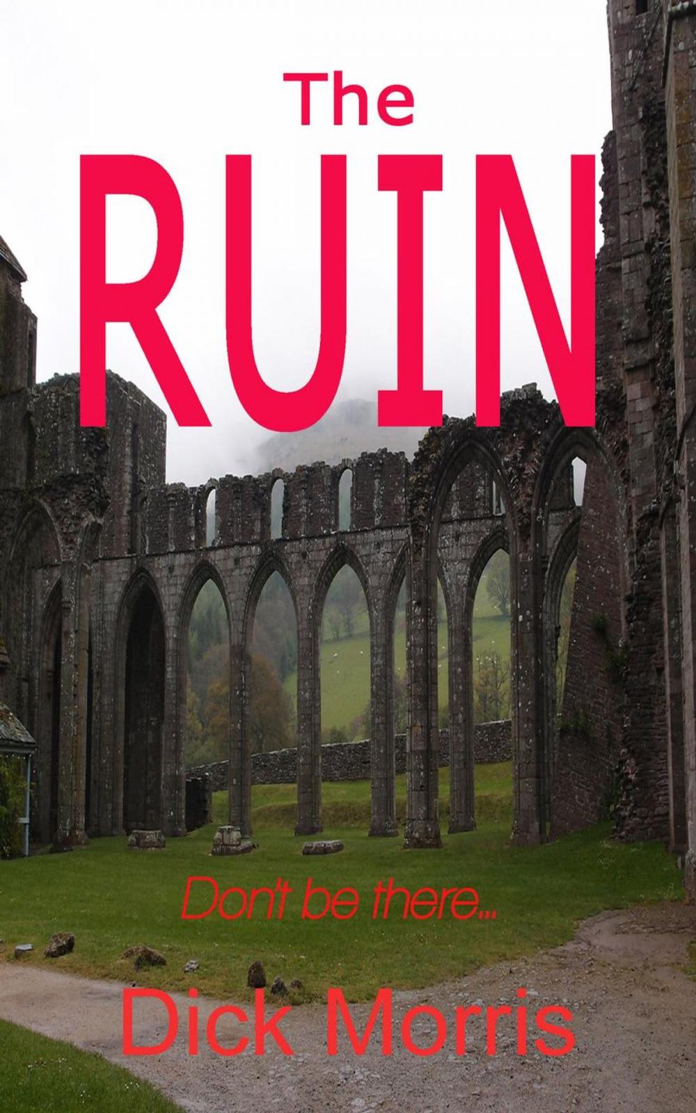 Big bigCover of The Ruin