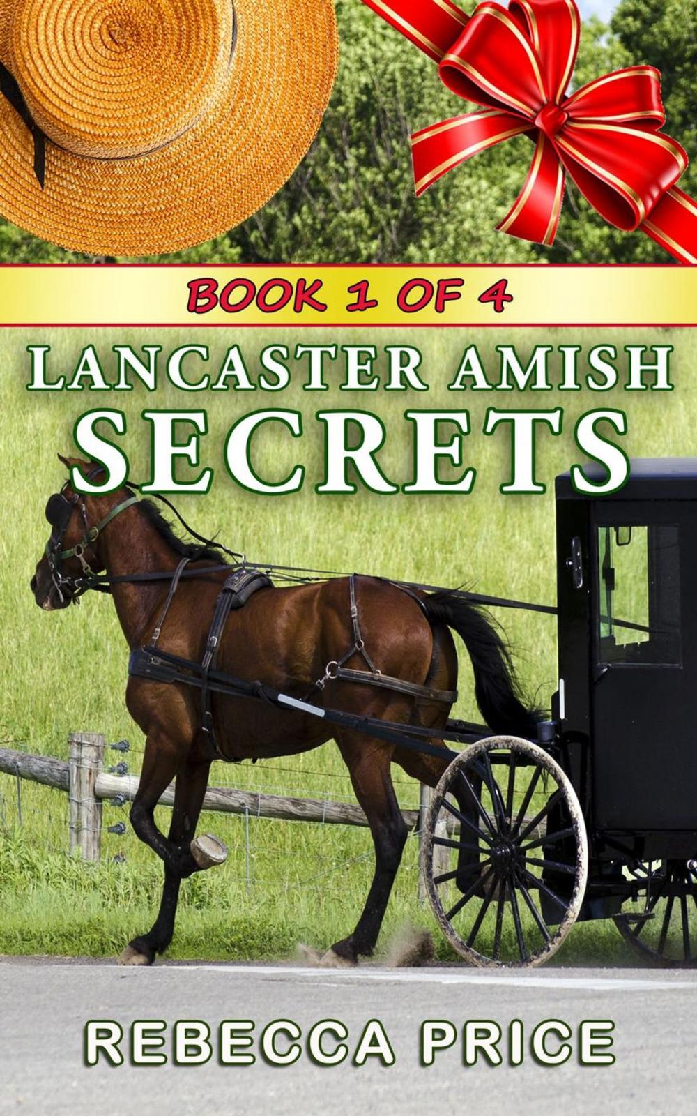 Big bigCover of Lancaster Amish Secrets