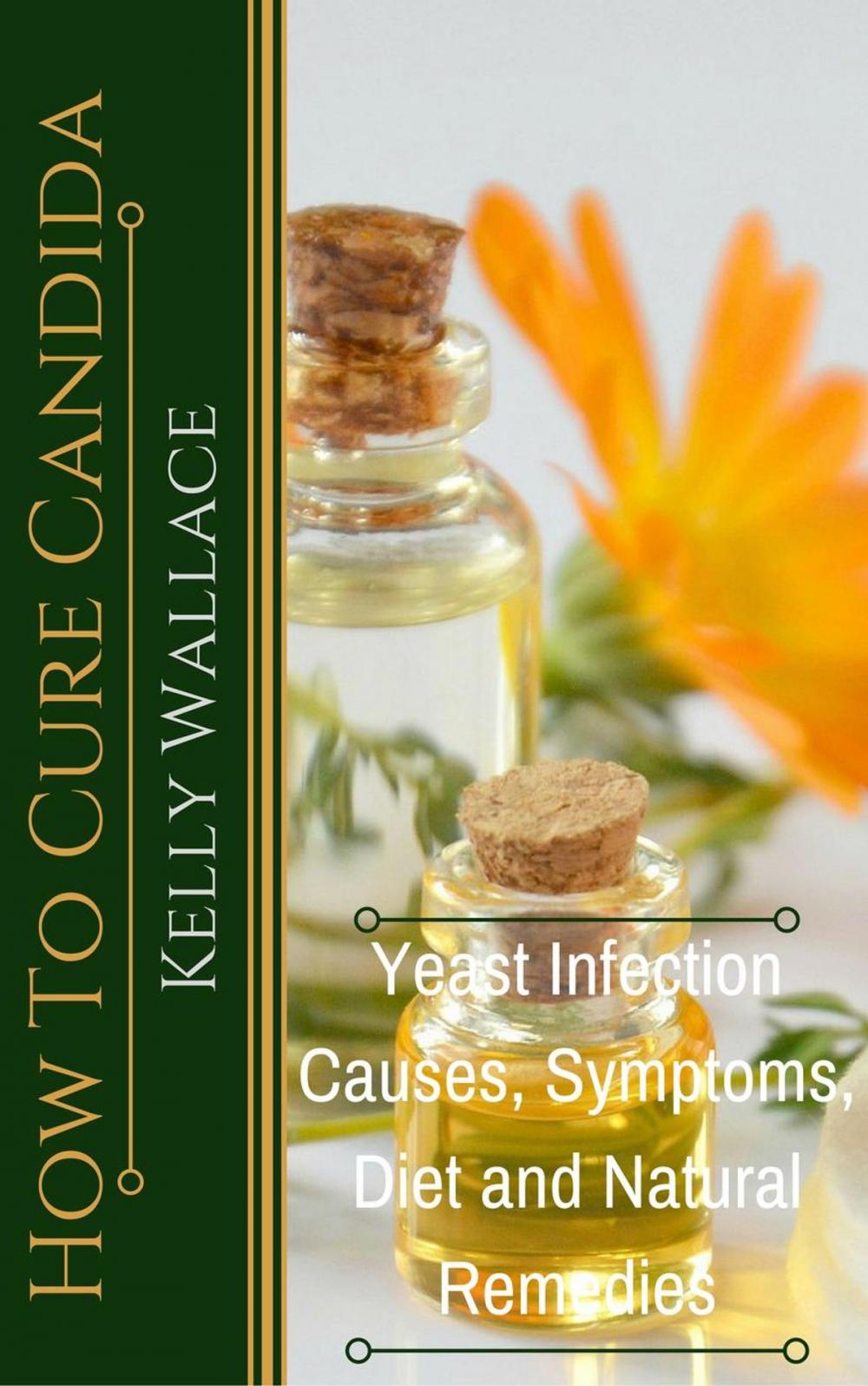 Big bigCover of How To Cure Candida - Yeast Infection Causes, Symptoms, Diet & Natural Remedies