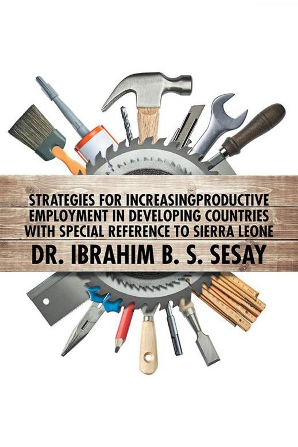 Big bigCover of Strategies for Increasing Productive Employment in Developing Countries with Special Reference to Sierra Leone