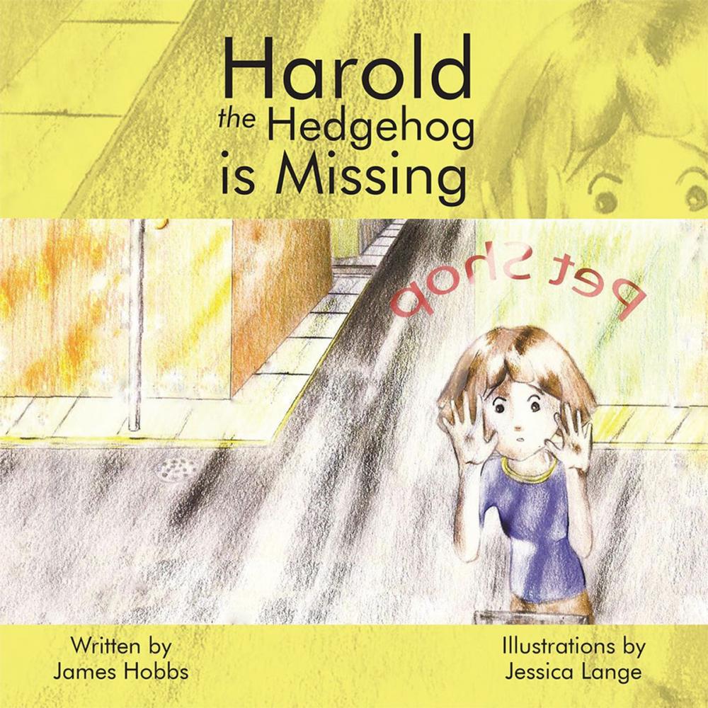 Big bigCover of Harold the Hedgehog Is Missing