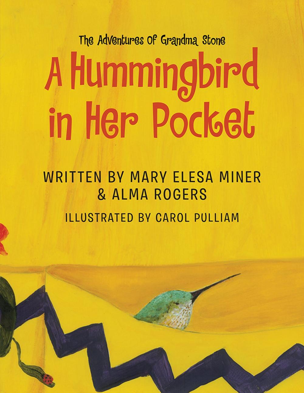 Big bigCover of A Hummingbird in Her Pocket