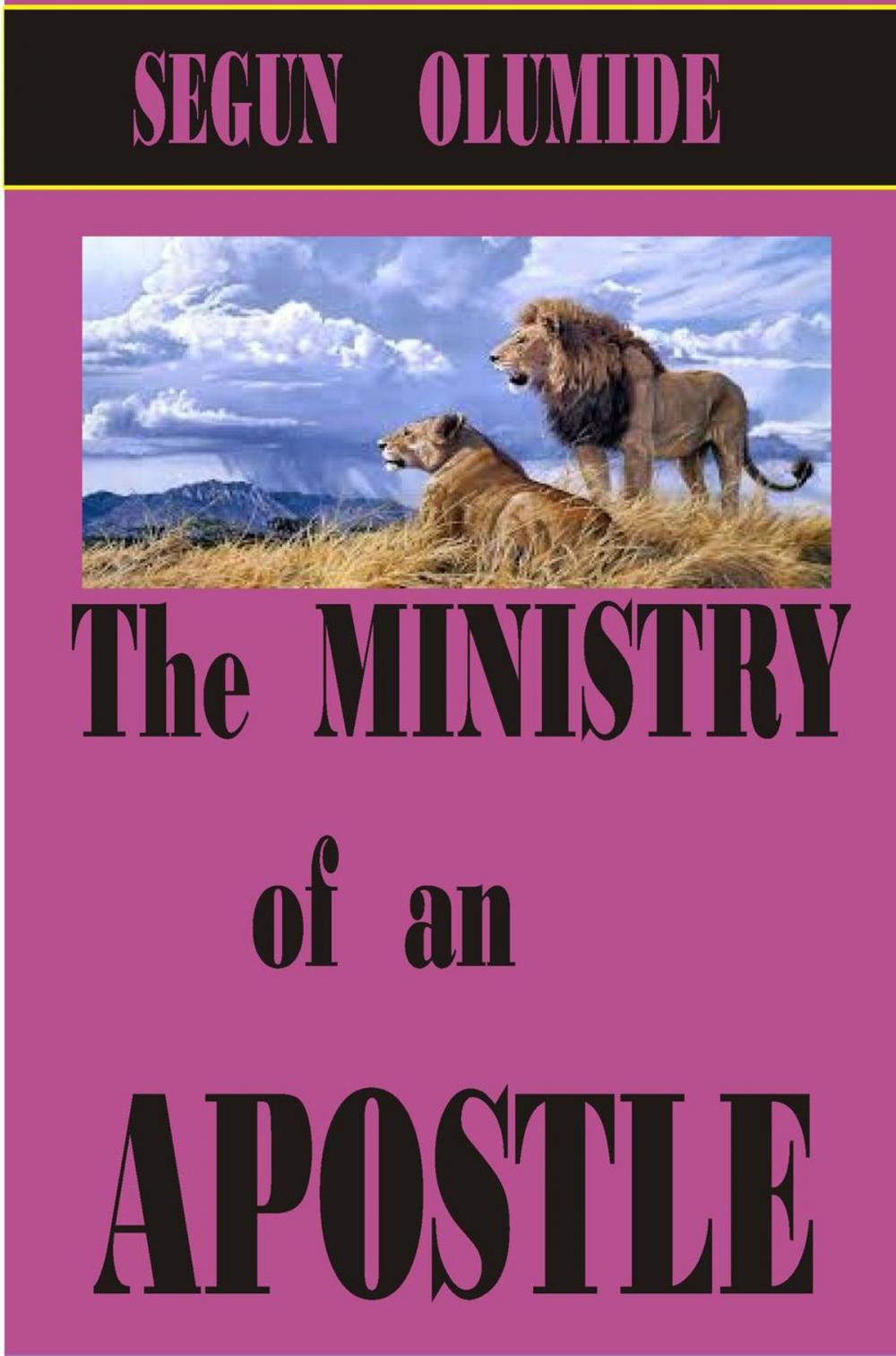 Big bigCover of The Ministry of an Apostle