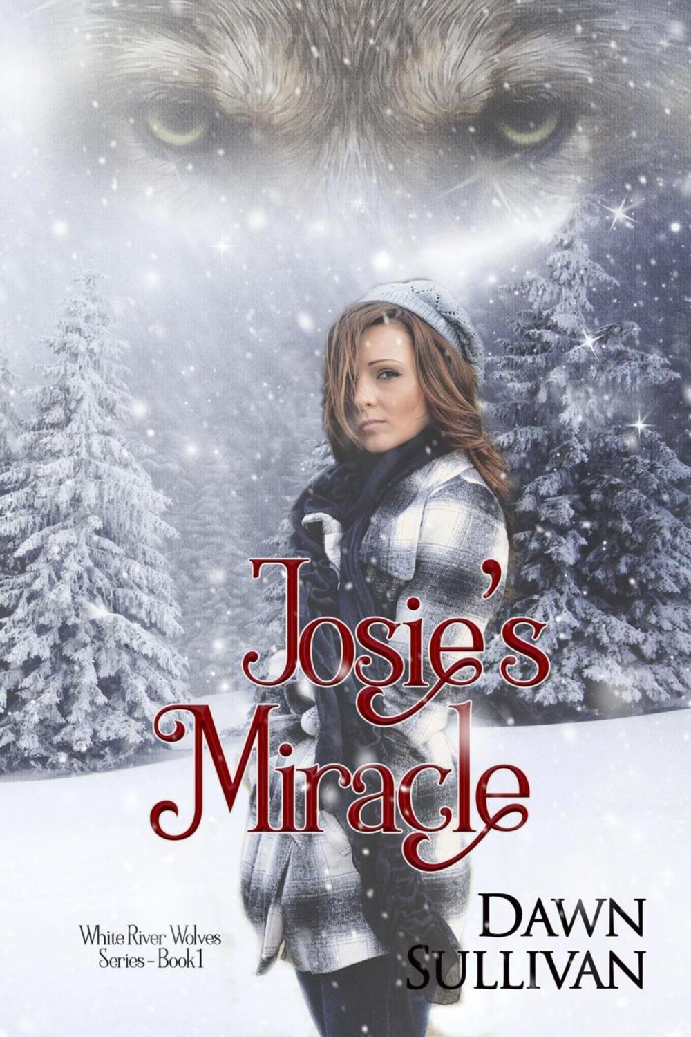 Big bigCover of Josie's Miracle