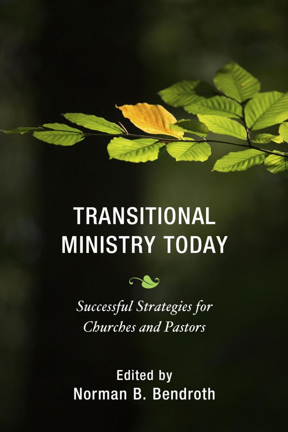 Big bigCover of Transitional Ministry Today