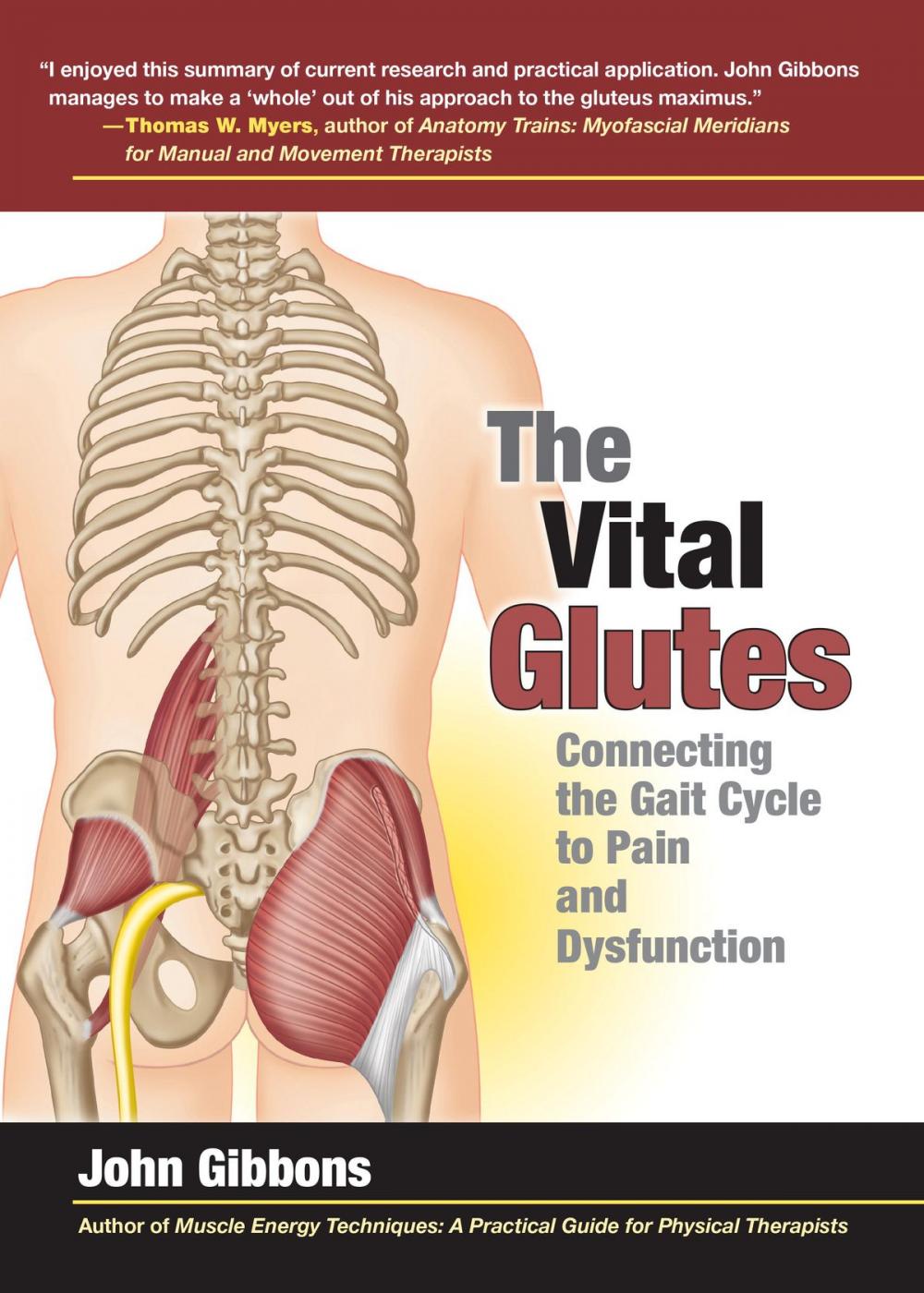 Big bigCover of The Vital Glutes