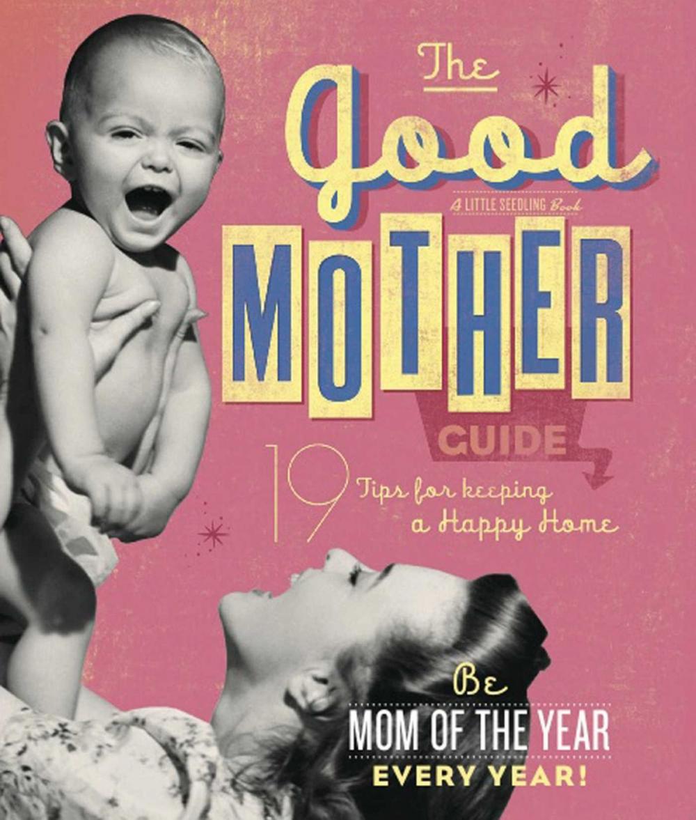 Big bigCover of The Good Mother's Guide