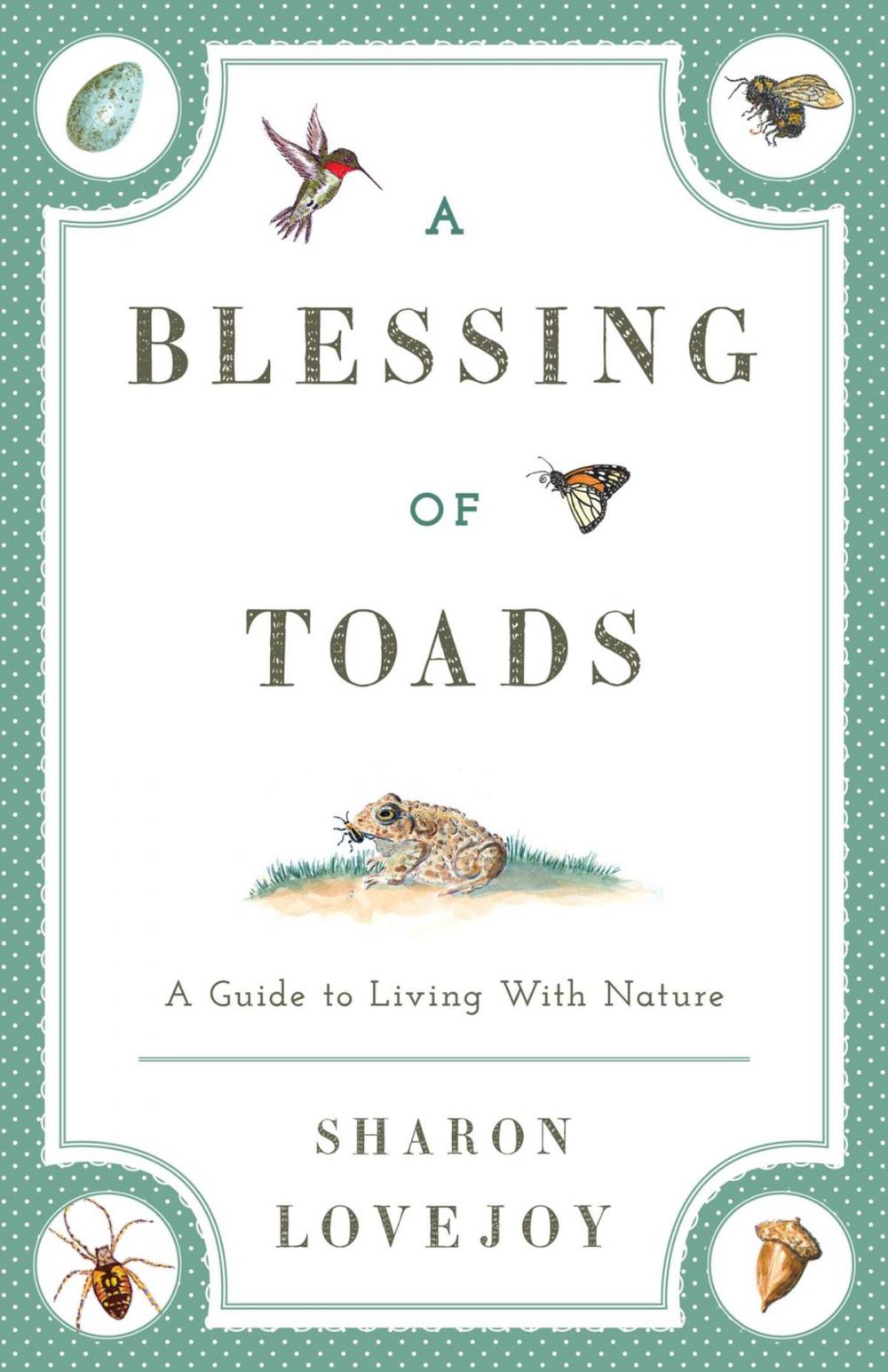 Big bigCover of A Blessing of Toads