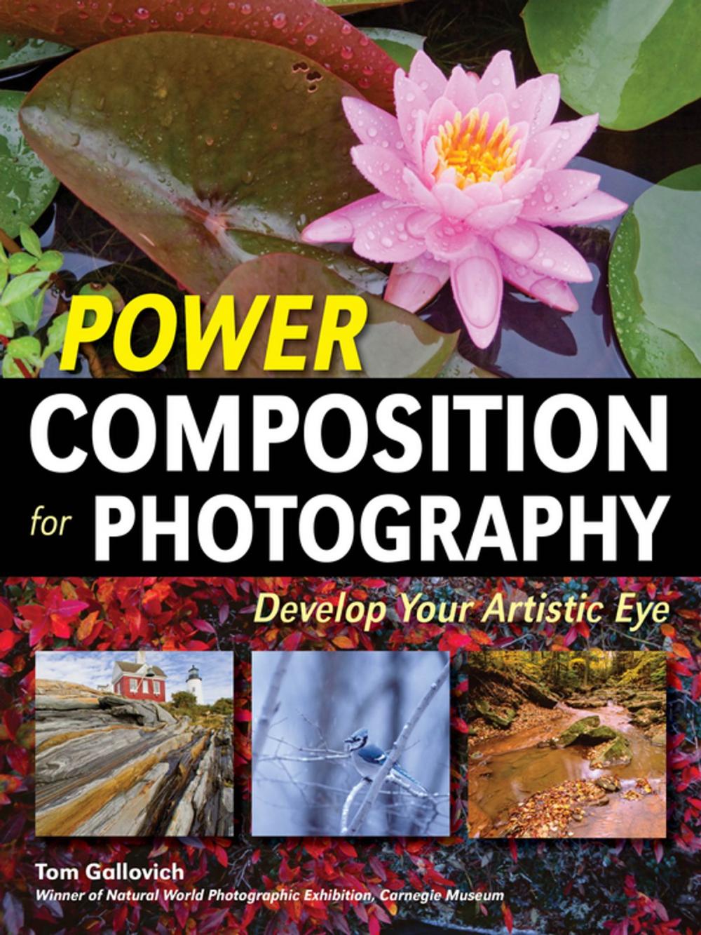 Big bigCover of Power Composition for Photography