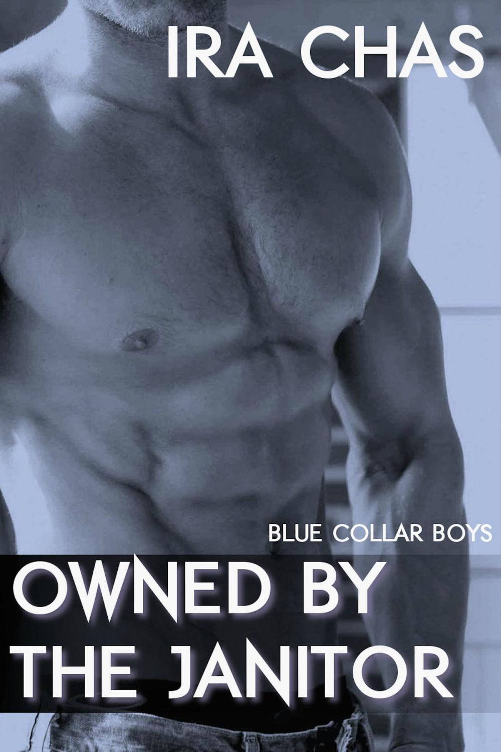 Big bigCover of Blue Collar Boys: Owned by the Janitor